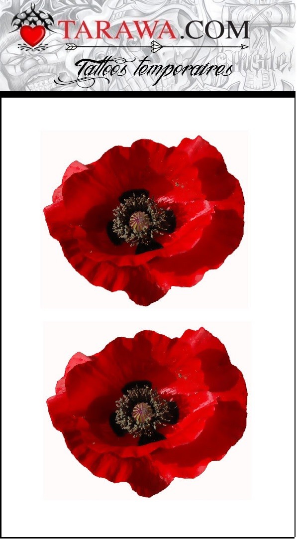 tatouage coquelicot autocollant