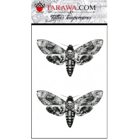 tatouage papillon sphinx tête de mort