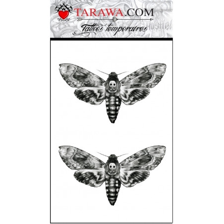tatouage papillon sphinx tête de mort