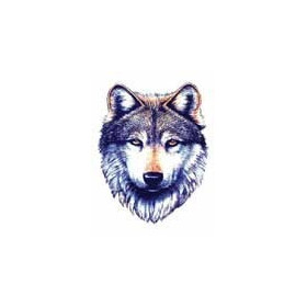 Tatouage Loup