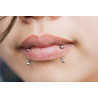 double piercing labret décalé vertical