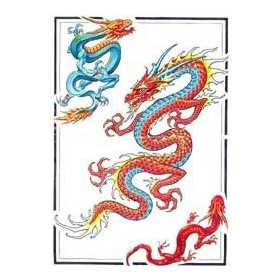 Tattoo Dragon autocollant