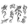 Tattoo Dragon autocollant