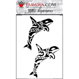 Tatouage éphémère orque Maori polynésien