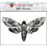 Tattoo papillon sphinx