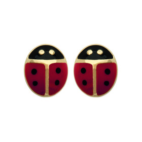 Boucles d'oreilles plaqué...