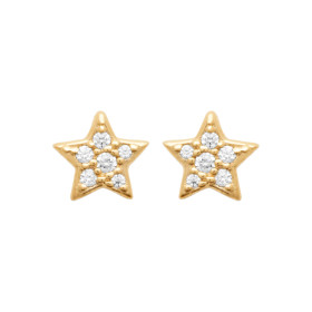Boucles d'oreilles étoile...
