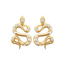 Boucles d'oreilles serpent...