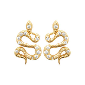 Boucles d'oreilles serpent...