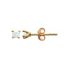 Boucles d'Oreilles Clous en Plaqué Or - Éclat Intemporel