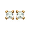 Boucles d'Oreilles Clous en Plaqué Or - Éclat Raffiné