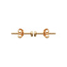 Boucles d'Oreilles en Plaqué Or avec Zirconium Blanc Rond - Éclat Éternel