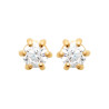 Boucles d'Oreilles Éclat Éternel en Plaqué Or et Zirconium