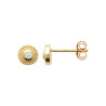 Boucles d'oreilles en Plaqué Or avec CZ Brillant