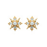 Boucles d'Oreilles Étoile en Plaqué Or avec Zirconium Étincelant
