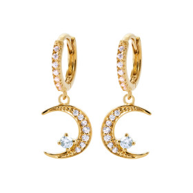 Boucles d'Oreilles en...