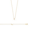Collier Plaqué Or avec Pendentif Croissant de Lune Scintillant