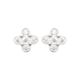 Boucles d'Oreilles en...