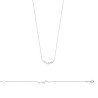 Bracelet Feuille de Zircons en Argent 925