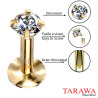 Piercing labret Anodisé titane doré - Tarawa piercing