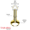 Piercing étoile zirconium tige acier doré - Tarawa.com