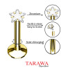 Piercing étoile zirconium tige acier doré - Tarawa.com