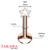 Piercing labret couleur or rose avec étoile - Tarawa.com