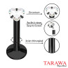 Piercing acier noir pour le labret hélix ou tragus - Tarawa.com