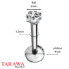 Piercing labret titane cristal carrée 2 mm