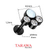 Piercing labret titane noir pate de chat opale