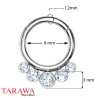 Piercing anneau en titane 5 perles CZ