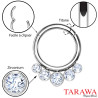 Piercing anneau en titane 5 perles CZ