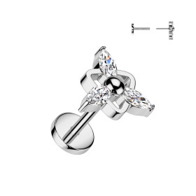 Piercing labret titane...