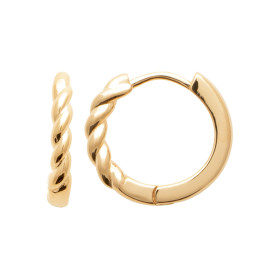 Boucles d’oreilles anneaux...