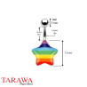 Piercing nombril motif étoile Gaypride - piercing Tarawa.com