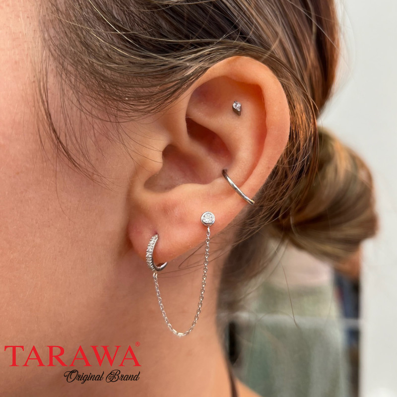 Composition d'oreille argenté