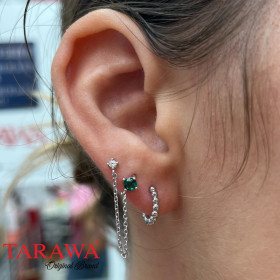 Composition d'oreille argenté