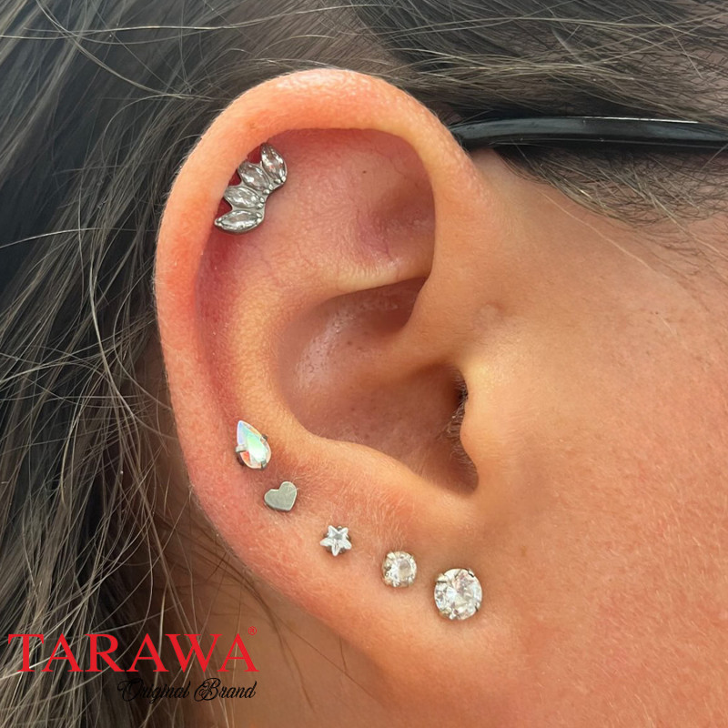 Composition d'oreille argenté