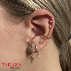 Composition piercing doré