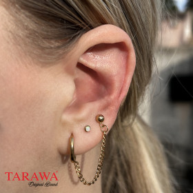 Composition lobes d'oreille...