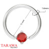 Anneaux piercing 1.6mm solitaire cristal rouge - Tarawa.com