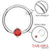 Anneaux piercing 1.6mm solitaire cristal rouge - Tarawa.com