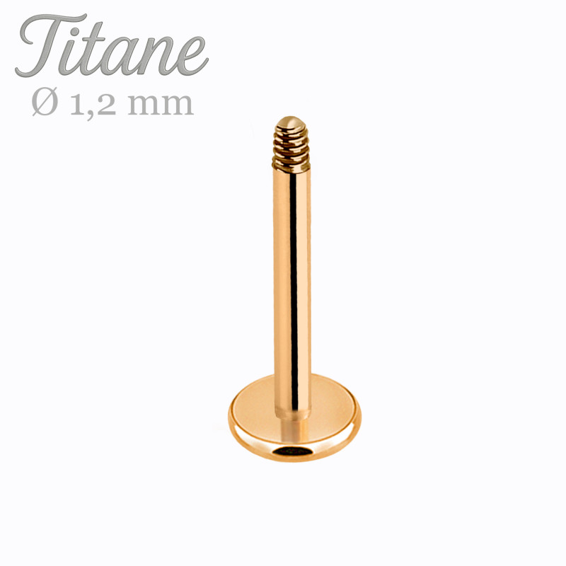 Barre labret en titane or rose 1,2 mm — l’essentiel pour composer ton piercing