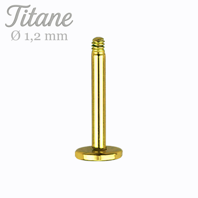 Barre de piercing Labret 1,2mm en Titane doré - Tarawa piercing