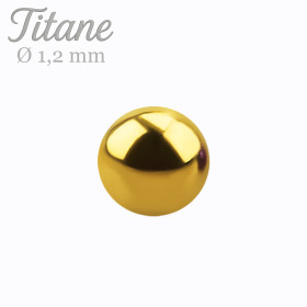 Bille de piercing en titane...