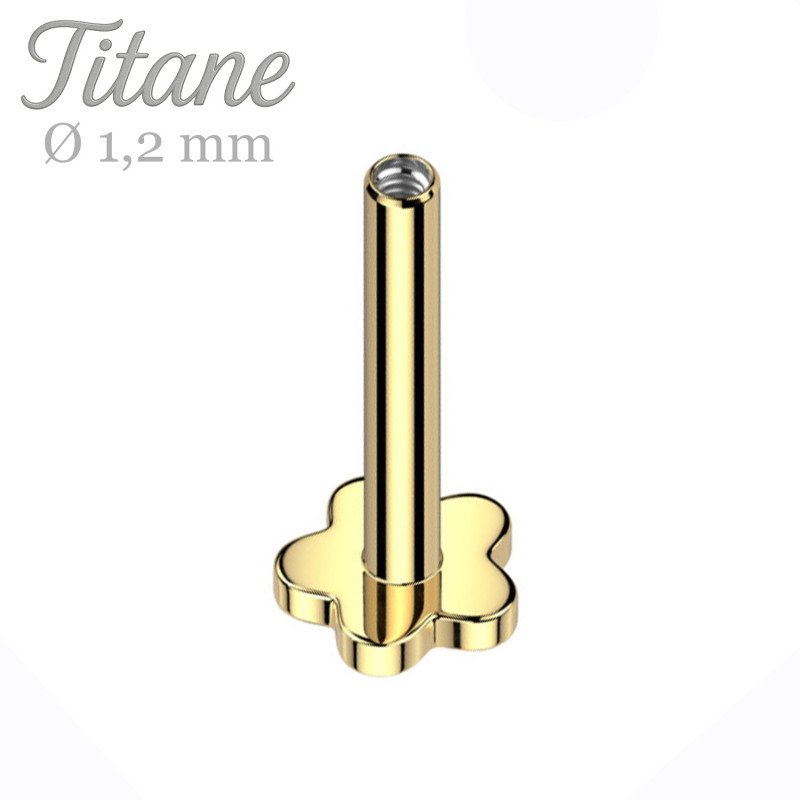 Barre Labret Fleur en Titane Doré – Filetage Interne