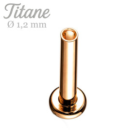 Barre labret titane...
