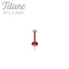 Piercing labret titane anodisé violet - Tarawa.com