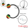 Piercing labret bille Rasta vert jaune rouge - Tarawa.com