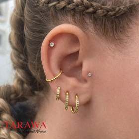 Composition d'oreille doré